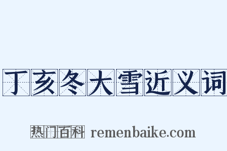 丁亥冬大雪近义词是什么意思的图片